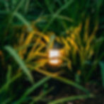 Landscape Lighting