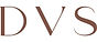 dvs-logo-deneme-v01.jpg