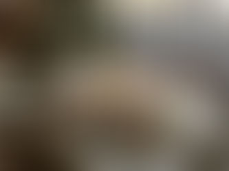        Céramiques pour table de fête 