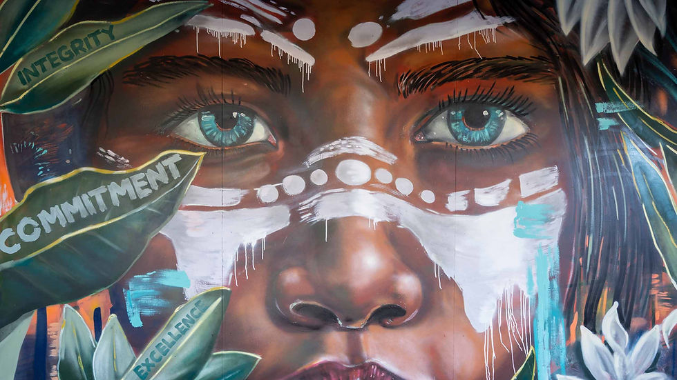 Aboriginal school mural Sydney Indigenous student collaboration art