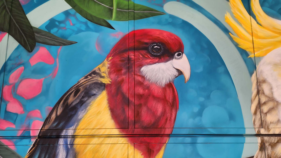 Completed graffiti mural in Burleigh Heads, Gold Coast Queensland