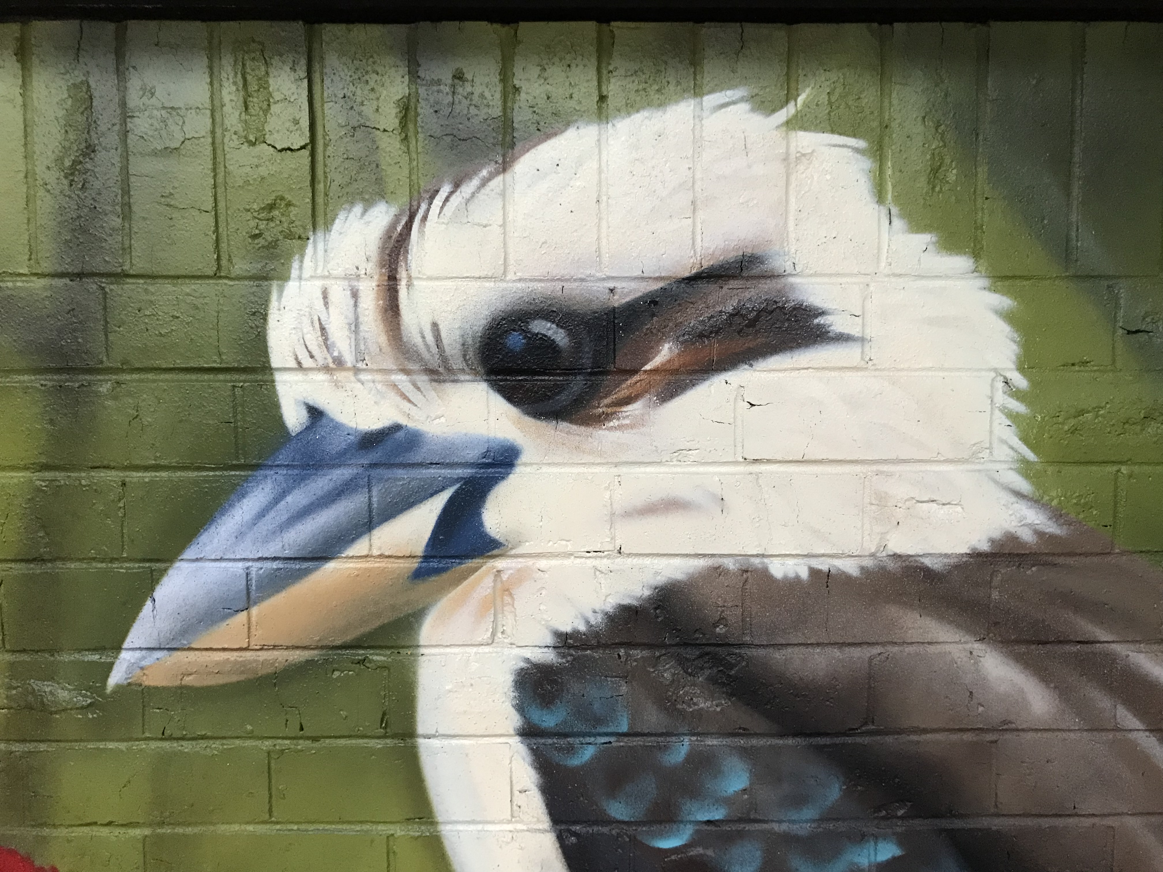 Australian Wildlife Murals & Street Art Urban Art