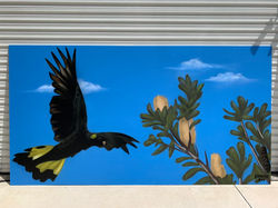 Black Cockatoo graffiti art Mural