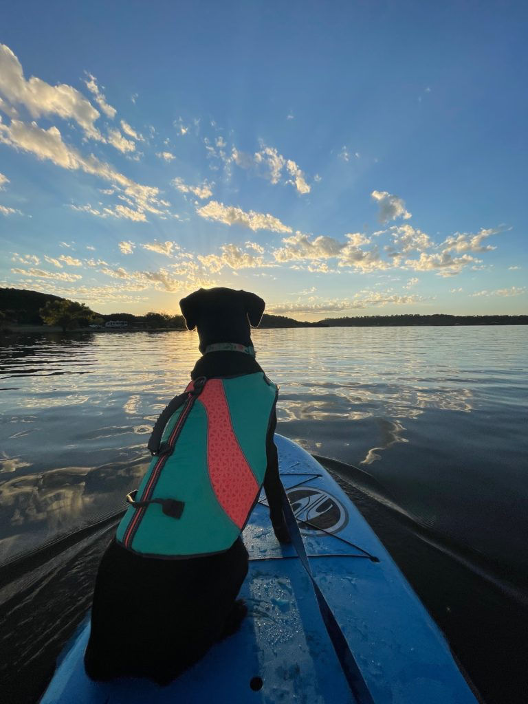 A dog sits on the end of a paddle board at sunset.