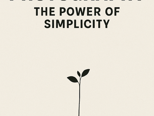 Minimalist Photography: The Power of Simplicity