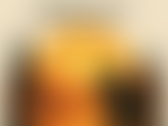 Chasing Light in Nature: The Magic of the Golden Hour