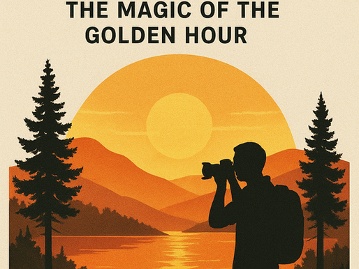 Chasing Light in Nature: The Magic of the Golden Hour