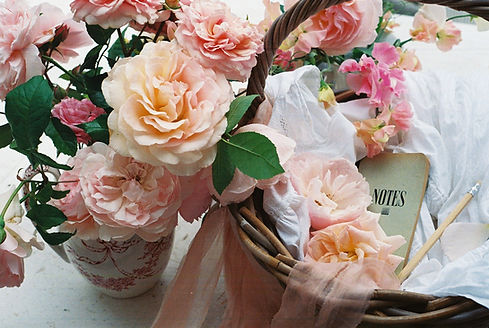 Photo by Verity & Thyme.jpg