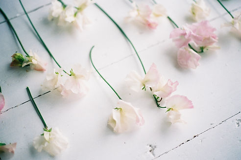 Photo by Verity & Thyme.JPG