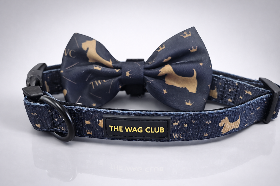 Thumbnail: The Wag Club Signature Bow