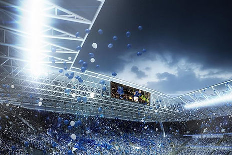 1874260_everton1_741107.jpg
