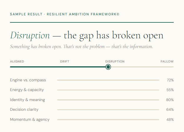 Congruence Gap Assessment - Sample Graphic.png