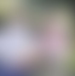 Entrevista a los autores