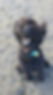 20230723_135825.jpg