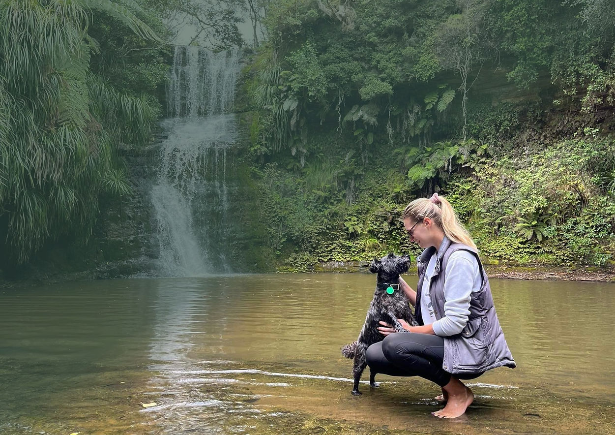 Dog walker Auckland with dog surrounding by nature.jpg