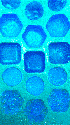 IMG_7282 3.GIF