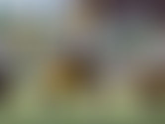 2026 NFL Draft Scouting Report: OT Max Iheanachor, Arizona State