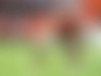 2025 NFL Draft Scouting Report: OT Francis Mauigoa, Miami