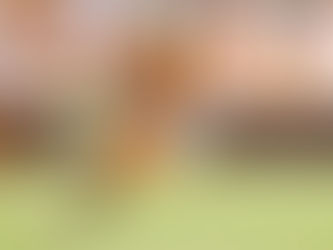 2026 NFL Draft Scouting Report: WR Chris Brazzell II, Tennessee