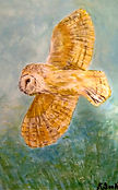 20211025_212510_edited_edited.jpg