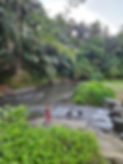 Robyn-river and forest in Bali.jpeg