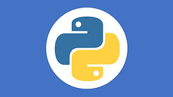 python.jpeg