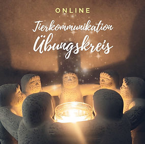 Tierkommunikation