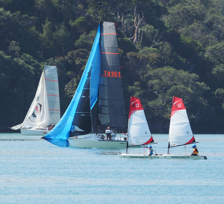 Mix of yachts.JPG
