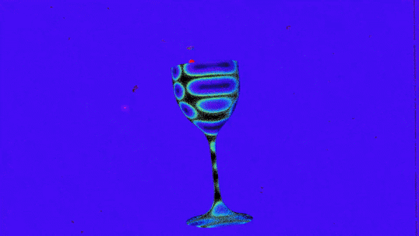 SAAG_Prithi_2.gif