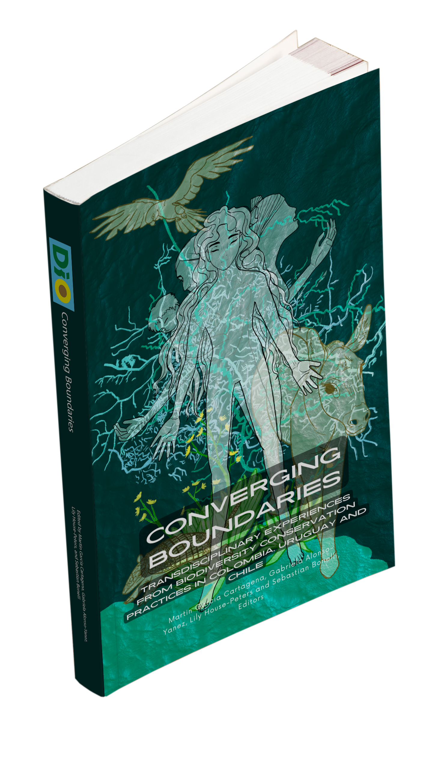 Converging Boundaries (Spanish)