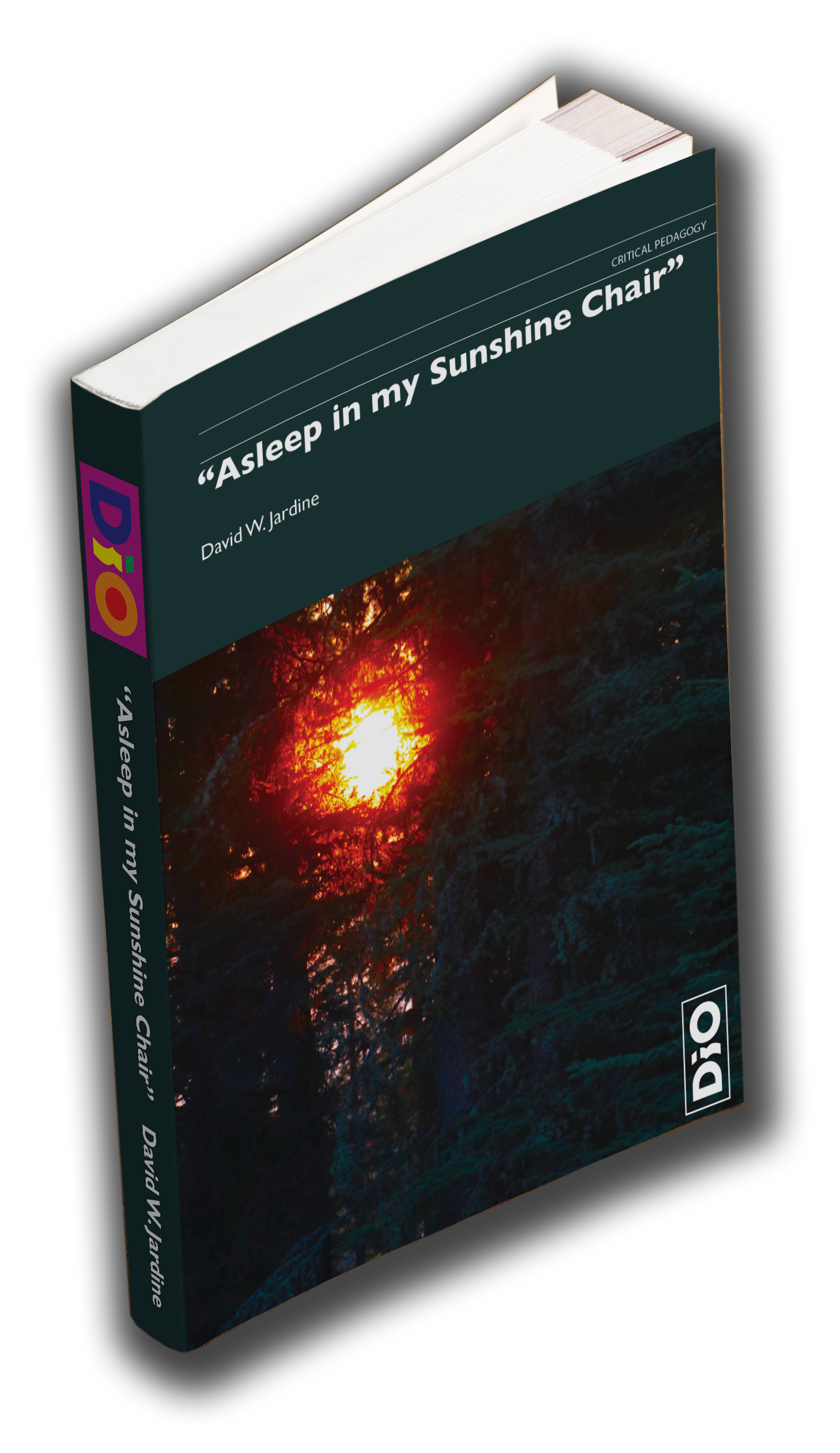 "Asleep in my Sunshine Chair"