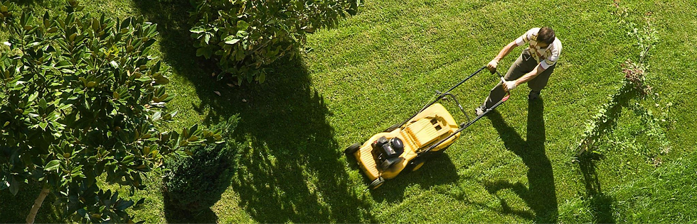 Lawn mowing Buderim