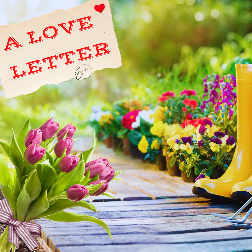 A Love Letter