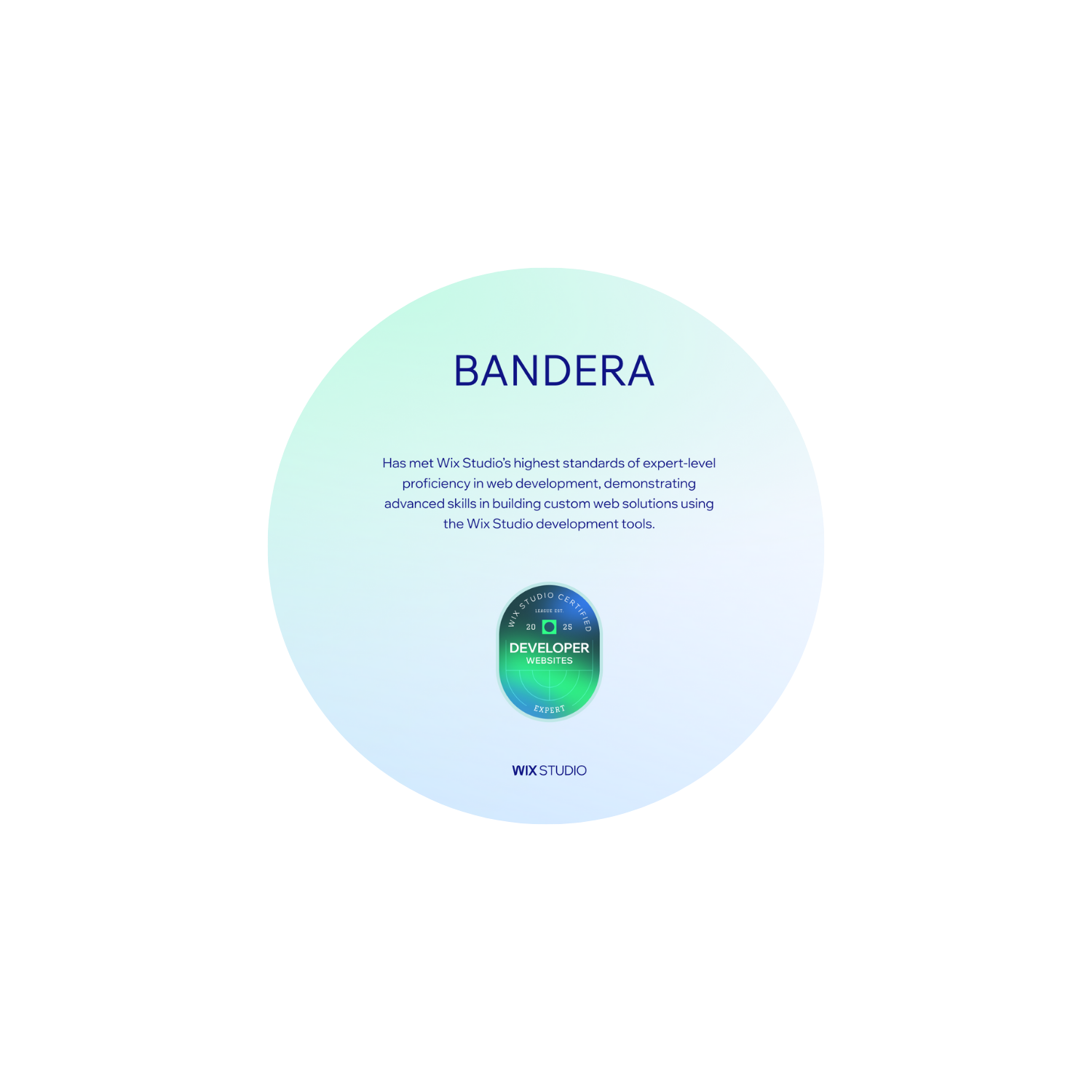 Wix Studio Developer