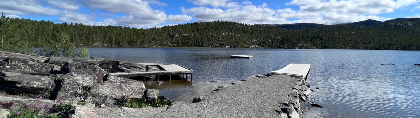 badeplass skogvannet_edited.jpg