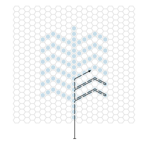 tulle embroidery instructions