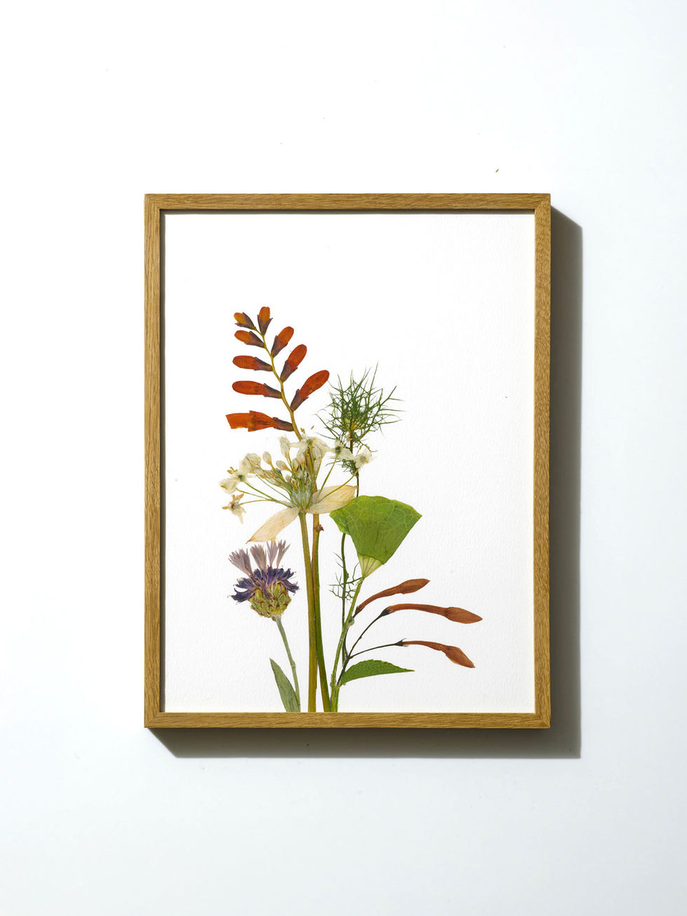 הדפס ממוסגר - פרחים מיובשים בטכניקה מסורתית