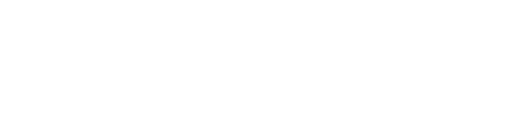 CIRTex-logo-white.webp