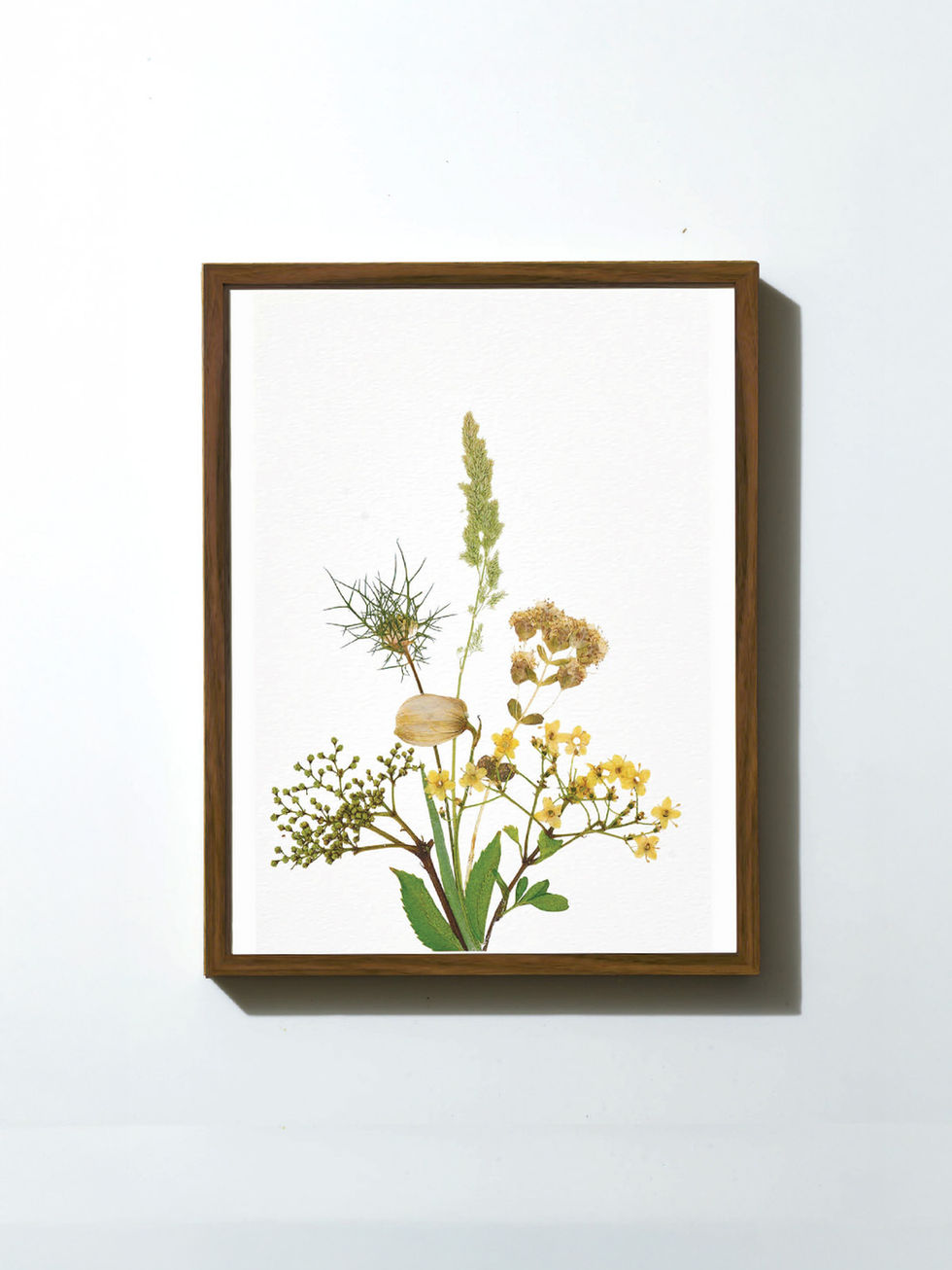 הדפס ממוסגר - פרחים מיובשים בטכניקה מסורתית