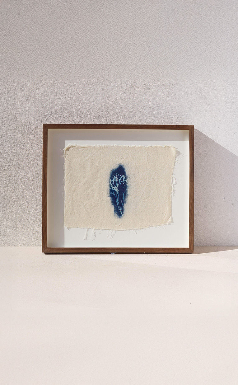 ציאנוטייפ ממוסגר