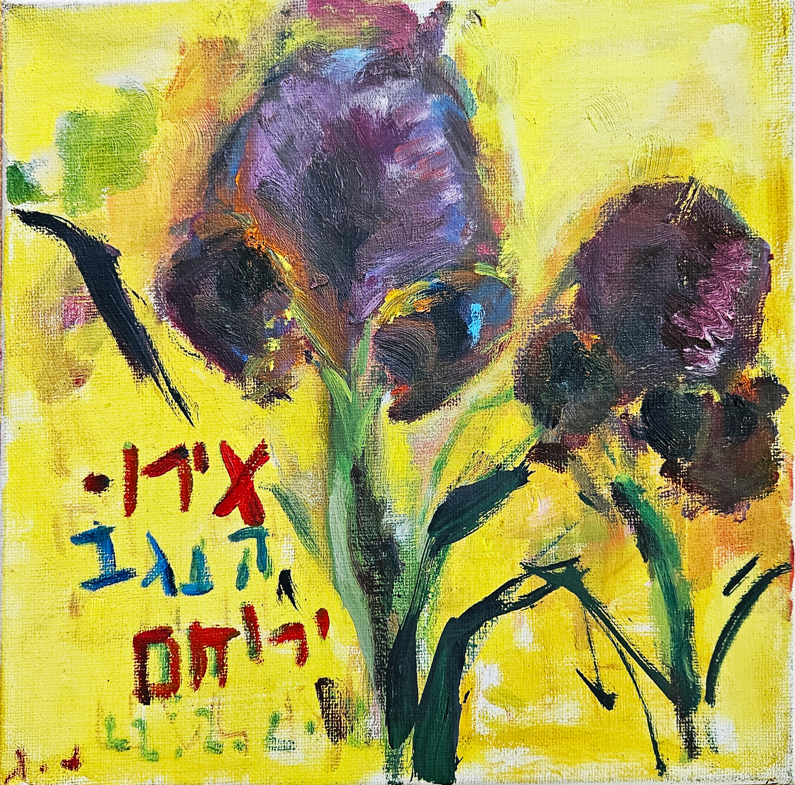  נורית גור לביא קרני | אירוס הנגב ירוחם
