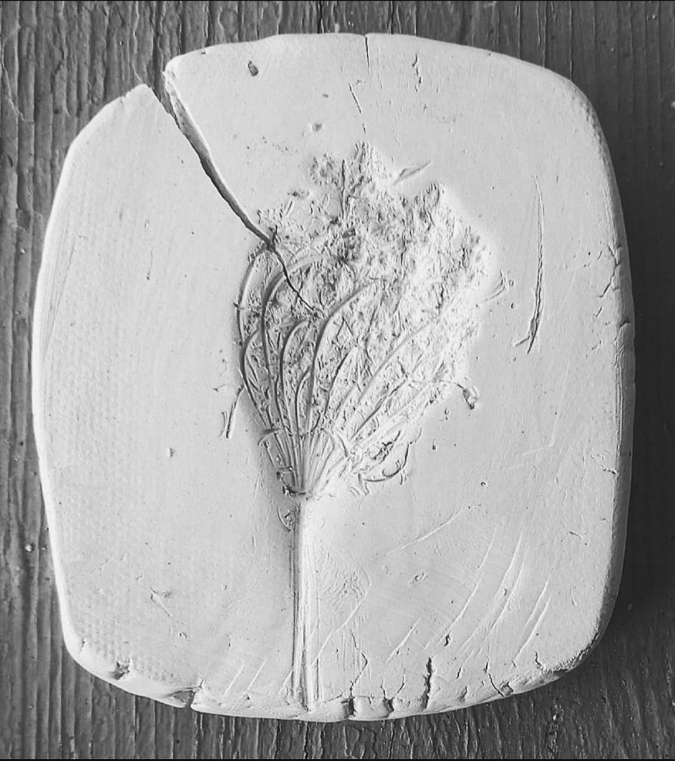 יצירה בפרח בר