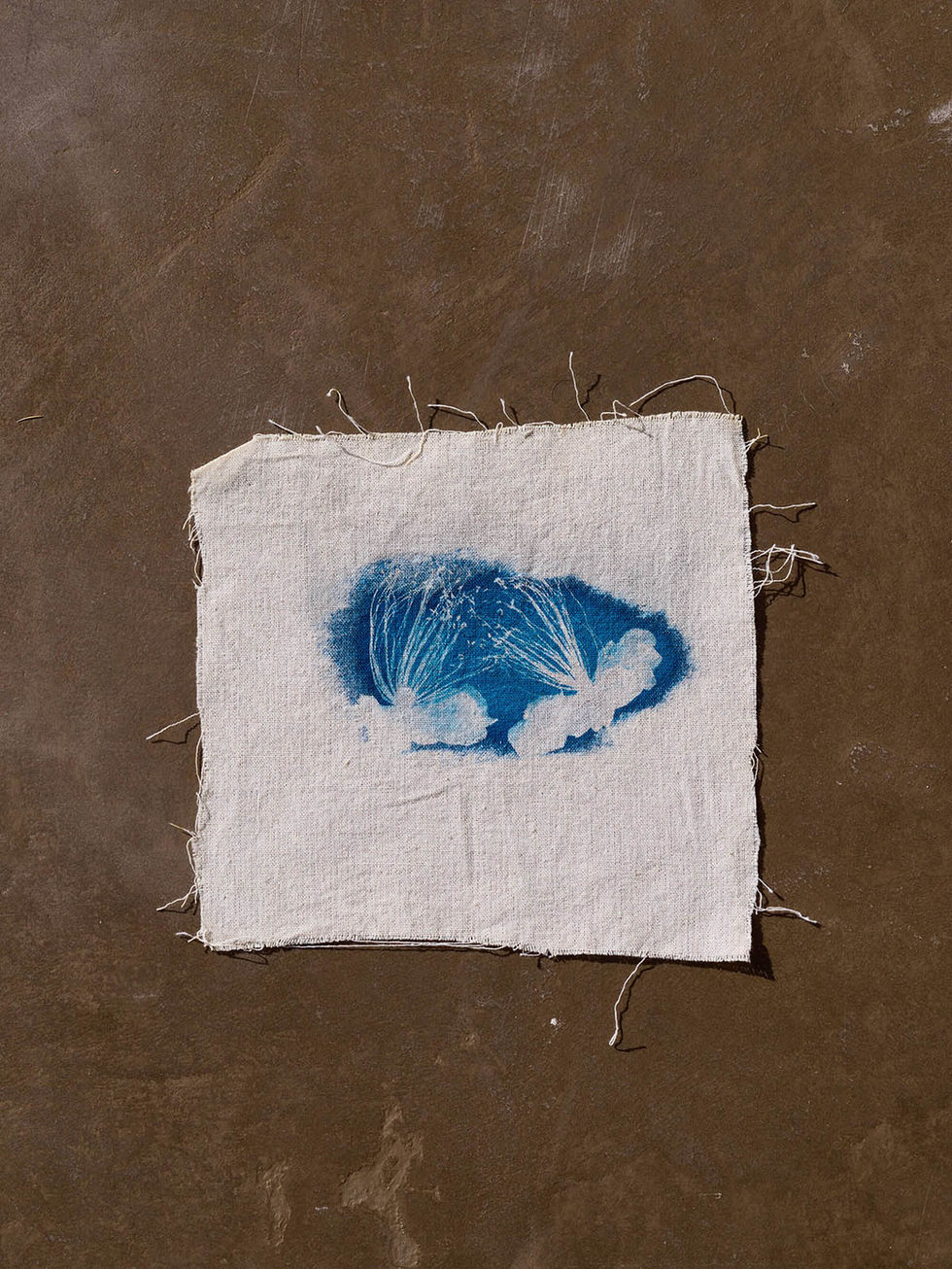 יצירה בציאנוטייפ