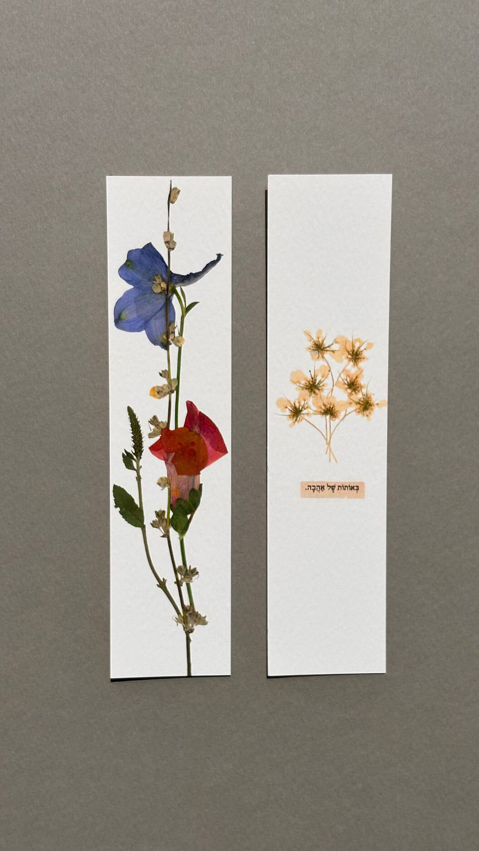 סימניות הדפס פרחים מיובשים