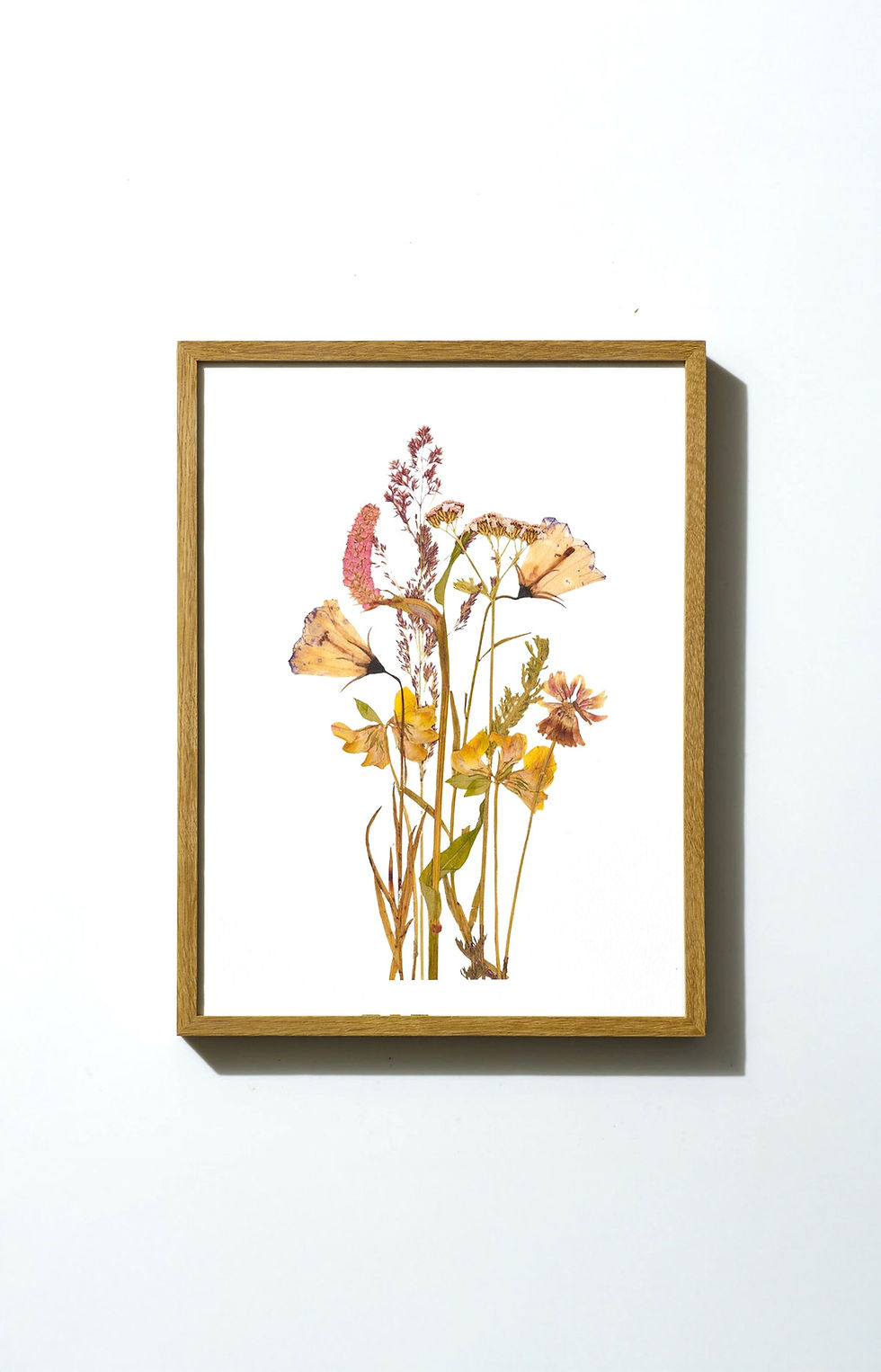 הדפס ממוסגר - פרחים מיובשים בטכניקה מסורתית