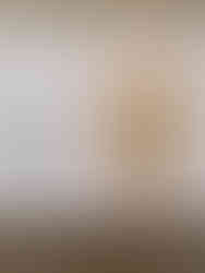 ספר בנושא פרחים או ייבוש פרחים