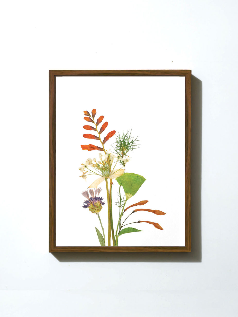 הדפס ממוסגר - פרחים מיובשים בטכניקה מסורתית