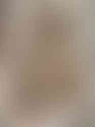 book about flower drying