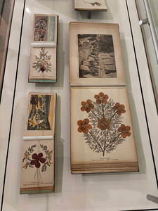 book about flower drying