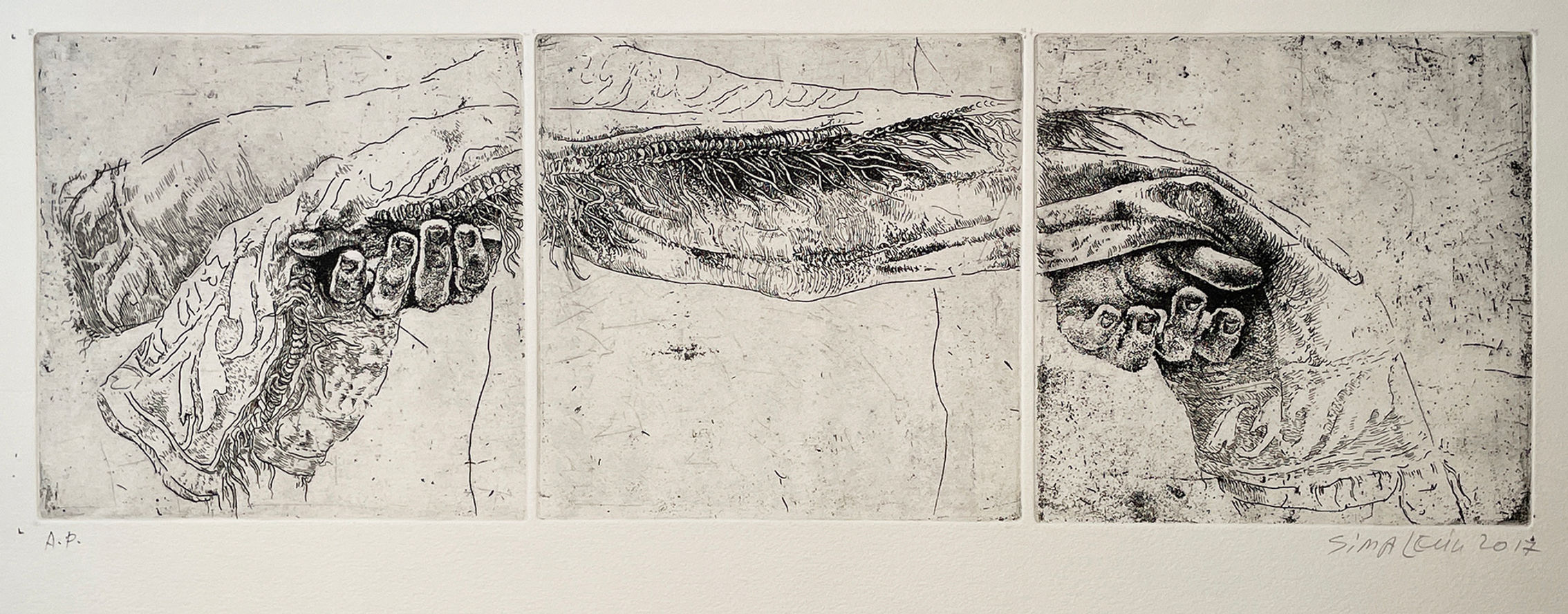 סימה לוין | פייטה